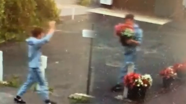 <p>Thief waves at CCTV while stealing flower display from family business</p>