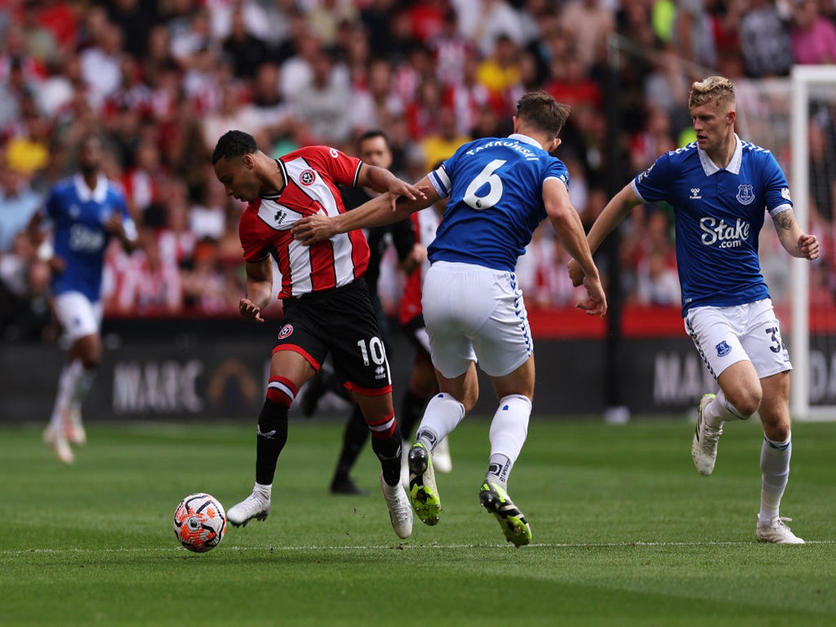 Championship final day LIVE: Results, final scores and reaction as  Sheffield United and Luton win play-off places