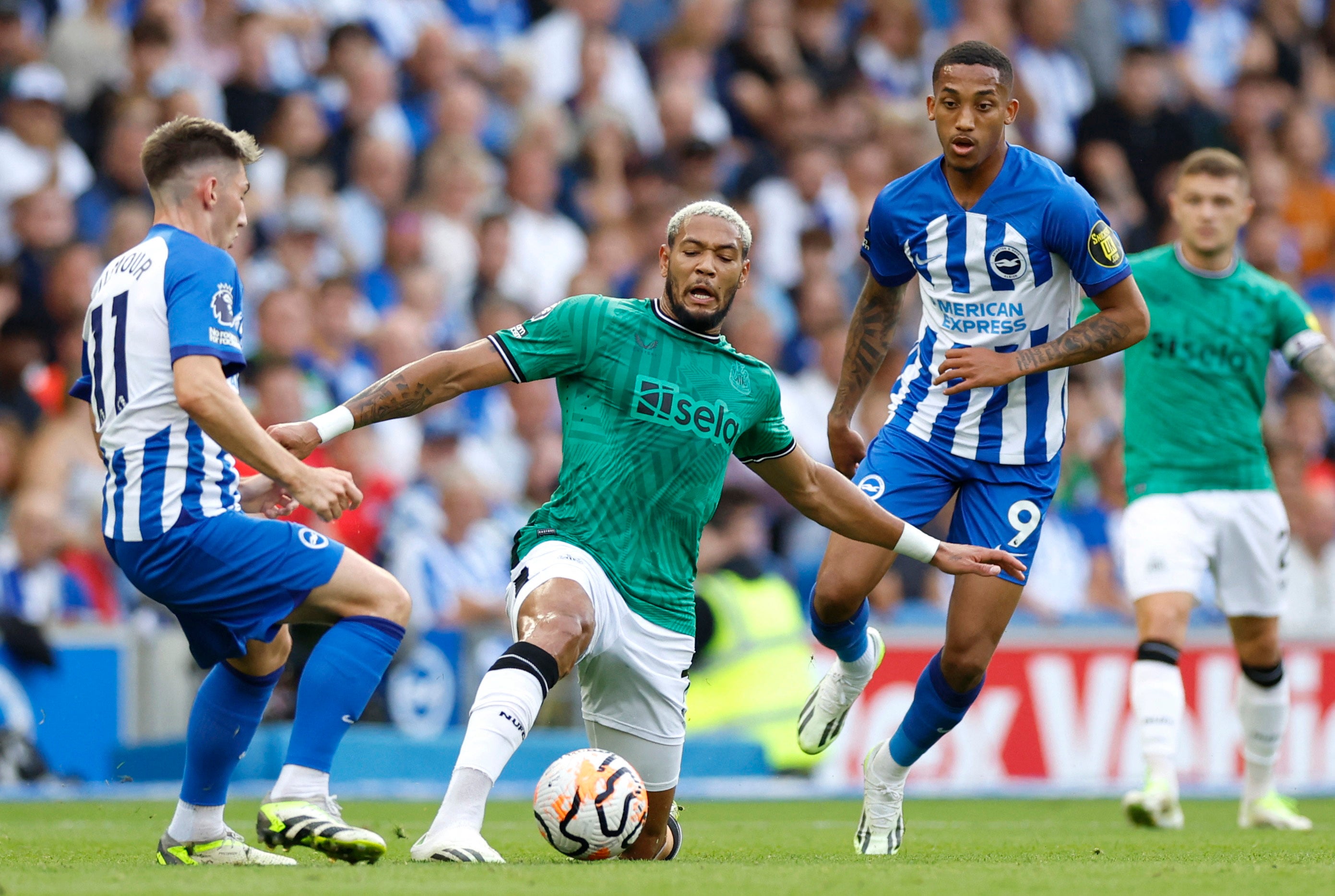 Brighton & Hove Albion vs Newcastle United LIVE: Premier League updates |  The Independent