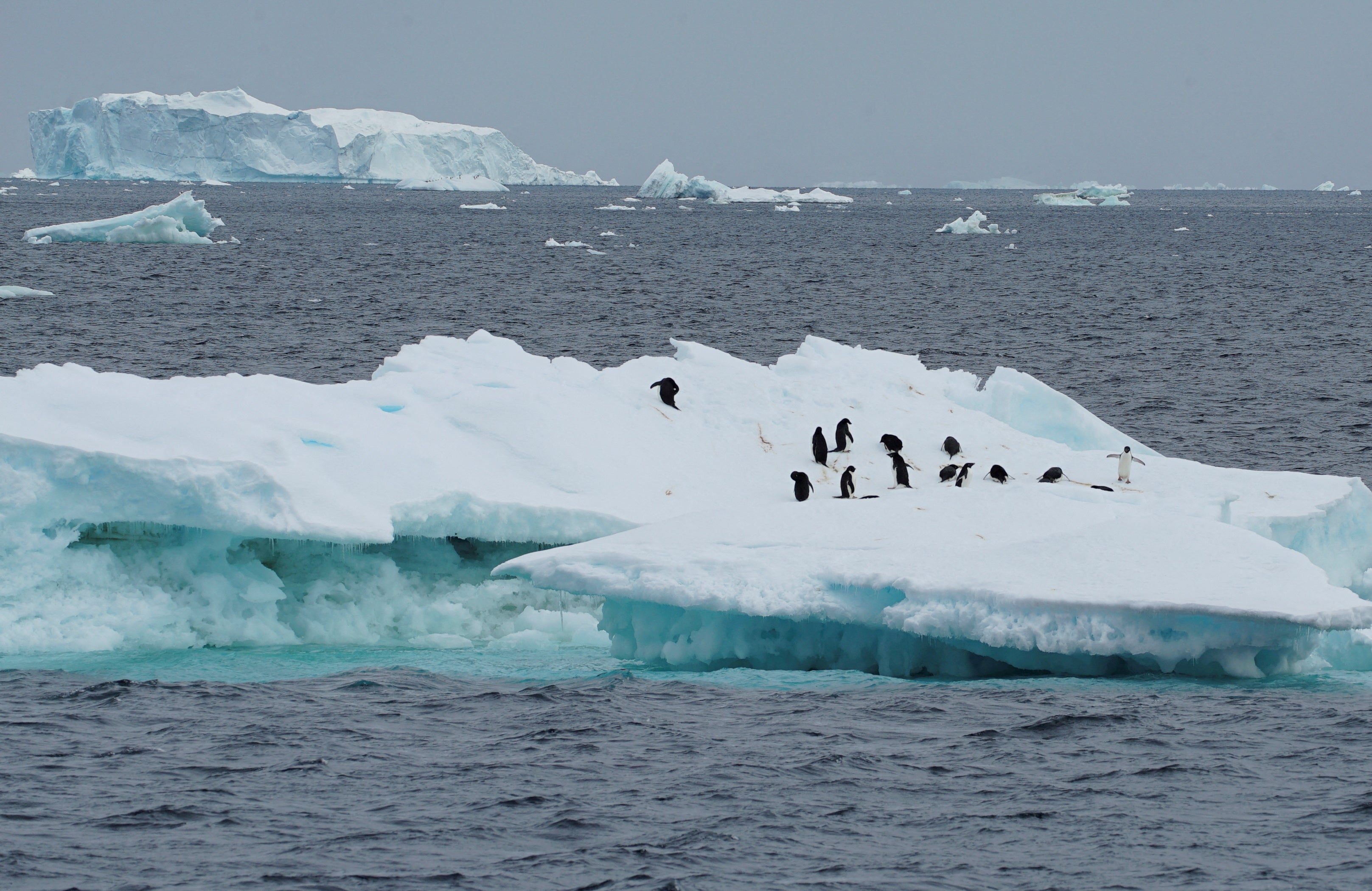 The icebreaker RSV Nuyina’s journey began in Tazmania last week after weeks of preparation