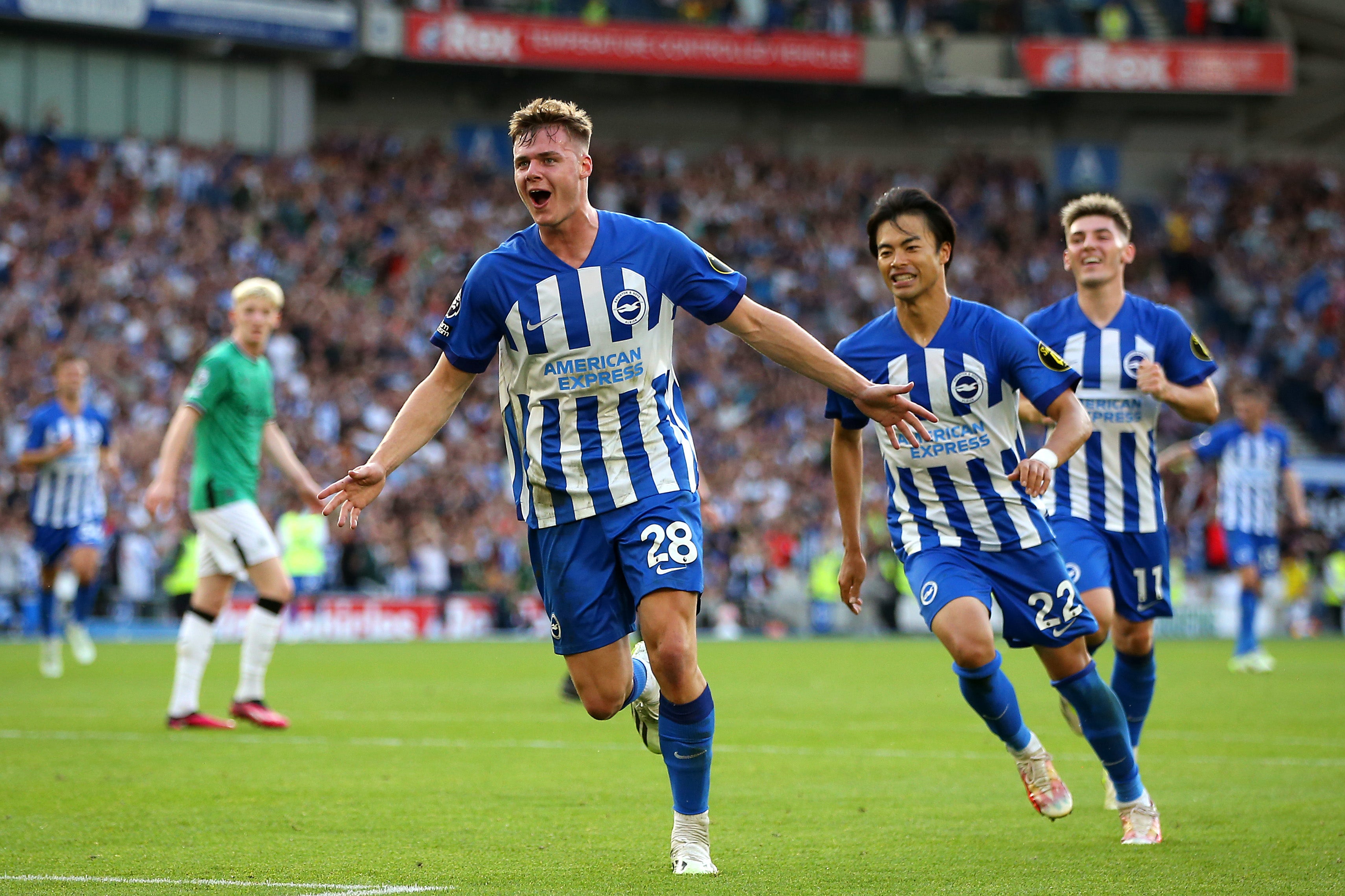 Brighton Hove Albion Vs Newcastle United LIVE Premier League Result 