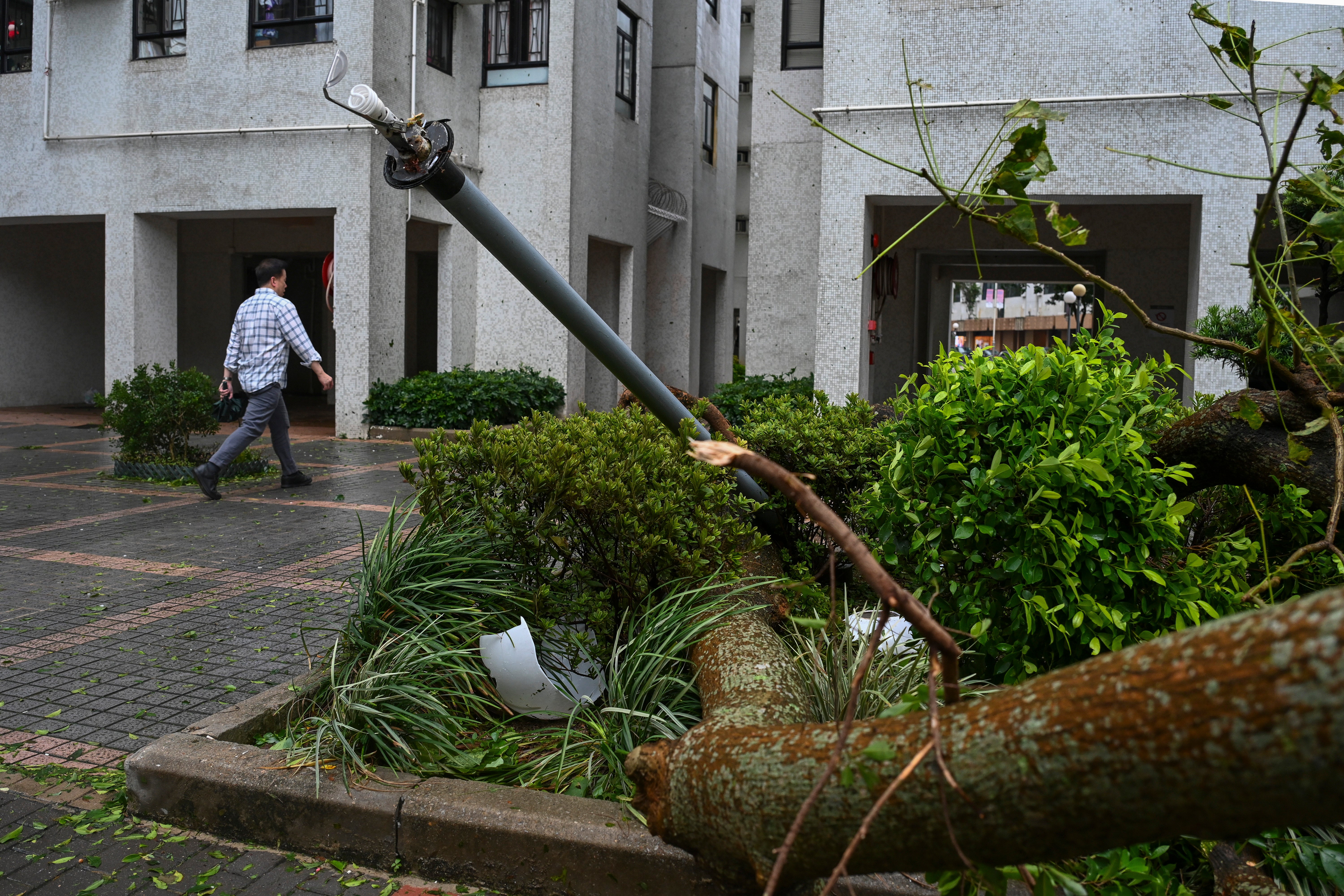 Hong Kong Asia Typhoon