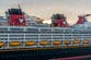 Elderly passenger dies after falling overboard on Disney cruise