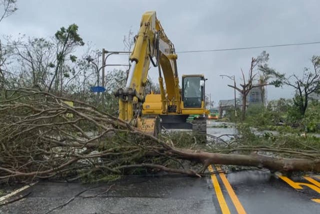 <p>This screengrab taken from AFPTV footage shows a worker clearing fallen trees from a road in the aftermath of Typhoon Haikui in Taitung County on 4 September 2023</p>