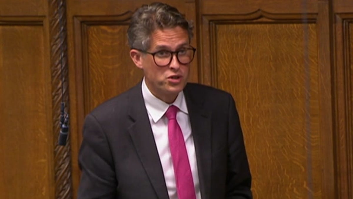 Gavin Williamson apologizes to MPs for bullying former Tory chief whip