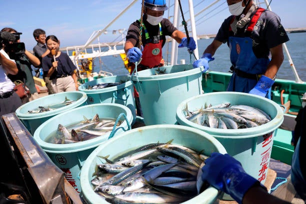 Fishery workers unload seafood caught in offshore trawl fishing at Matsukawaura port in Soma City, Fukushima prefecture on 1 September 2023