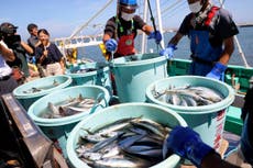 Japan hits out at China’s ‘unacceptable’ seafood ban as it rolls out emergency fund