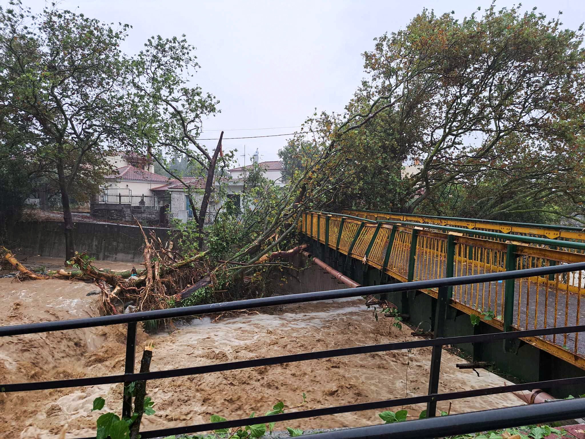 A fallen tree is seen in a flooded river during a storm in the city of Volos, Greece,