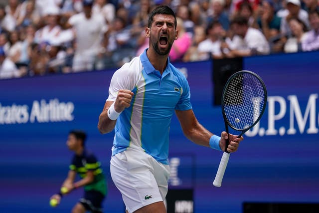 Novak Djokovic is into a 47th grand slam semi-final (Seth Wenig/AP)