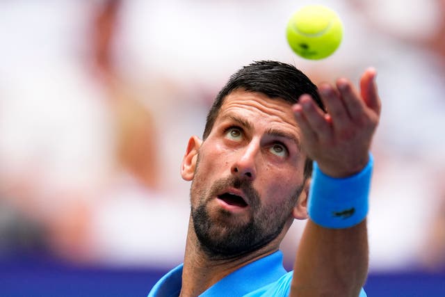 Novak Djokovic reached another semi-final (Manu Fernandez/AP)