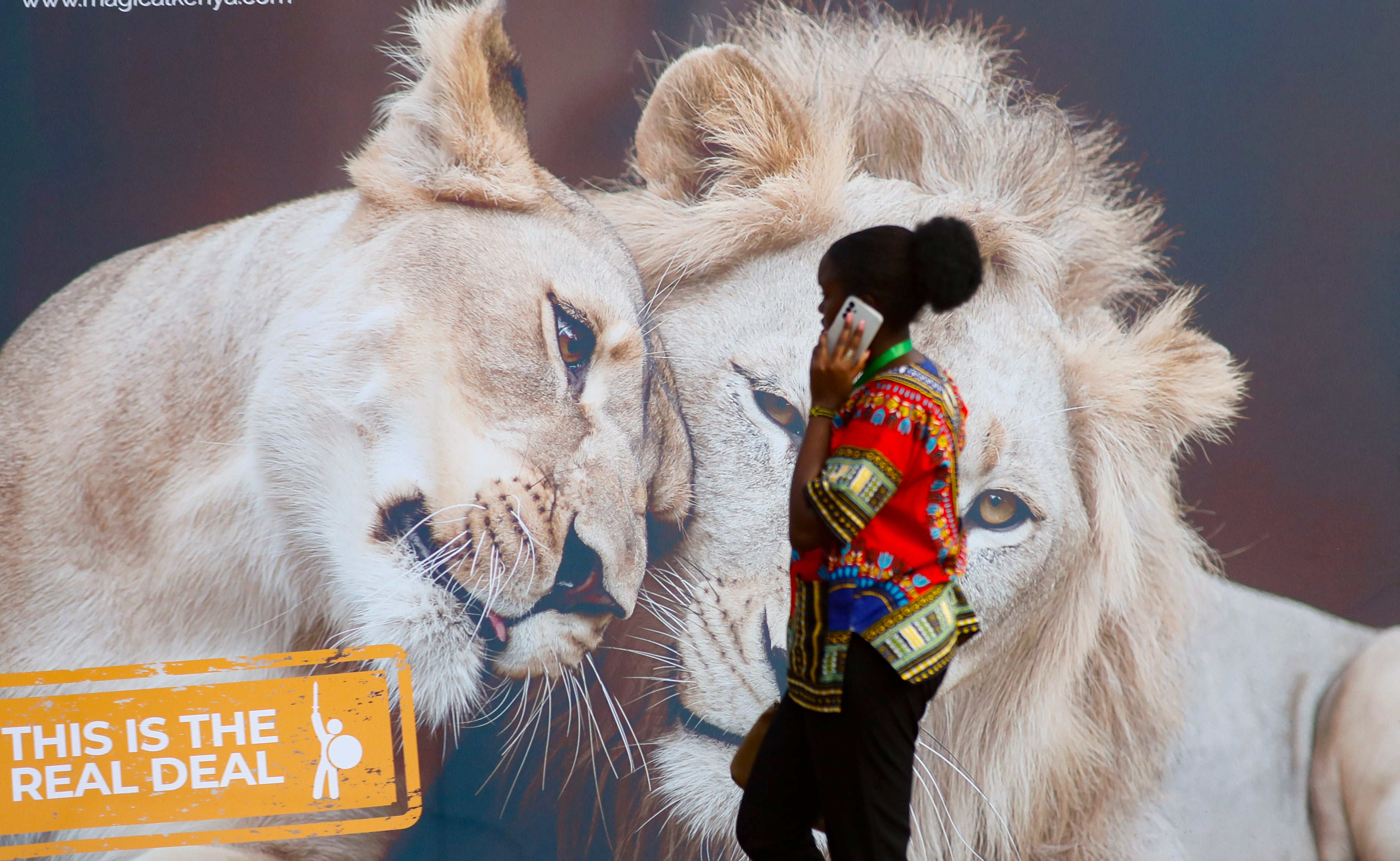 ÁFRICA-CUMBRE CLIMÁTICA