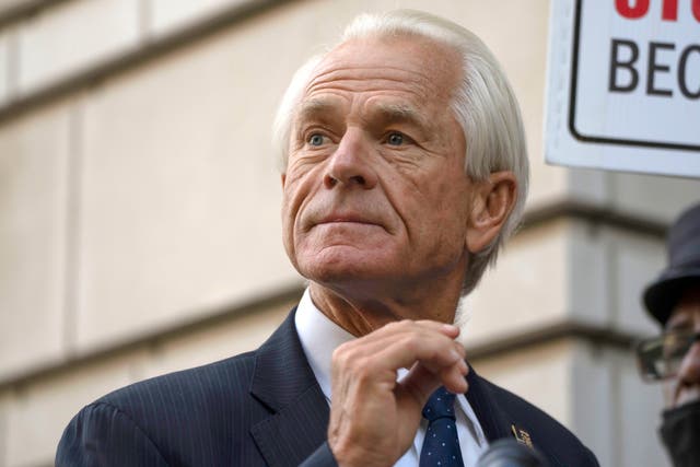 <p>Peter Navarro is on trial for contempt of court </p>