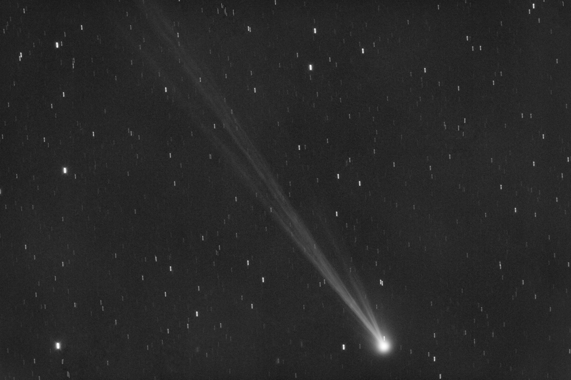 <p>COMETA NUEVO</p>