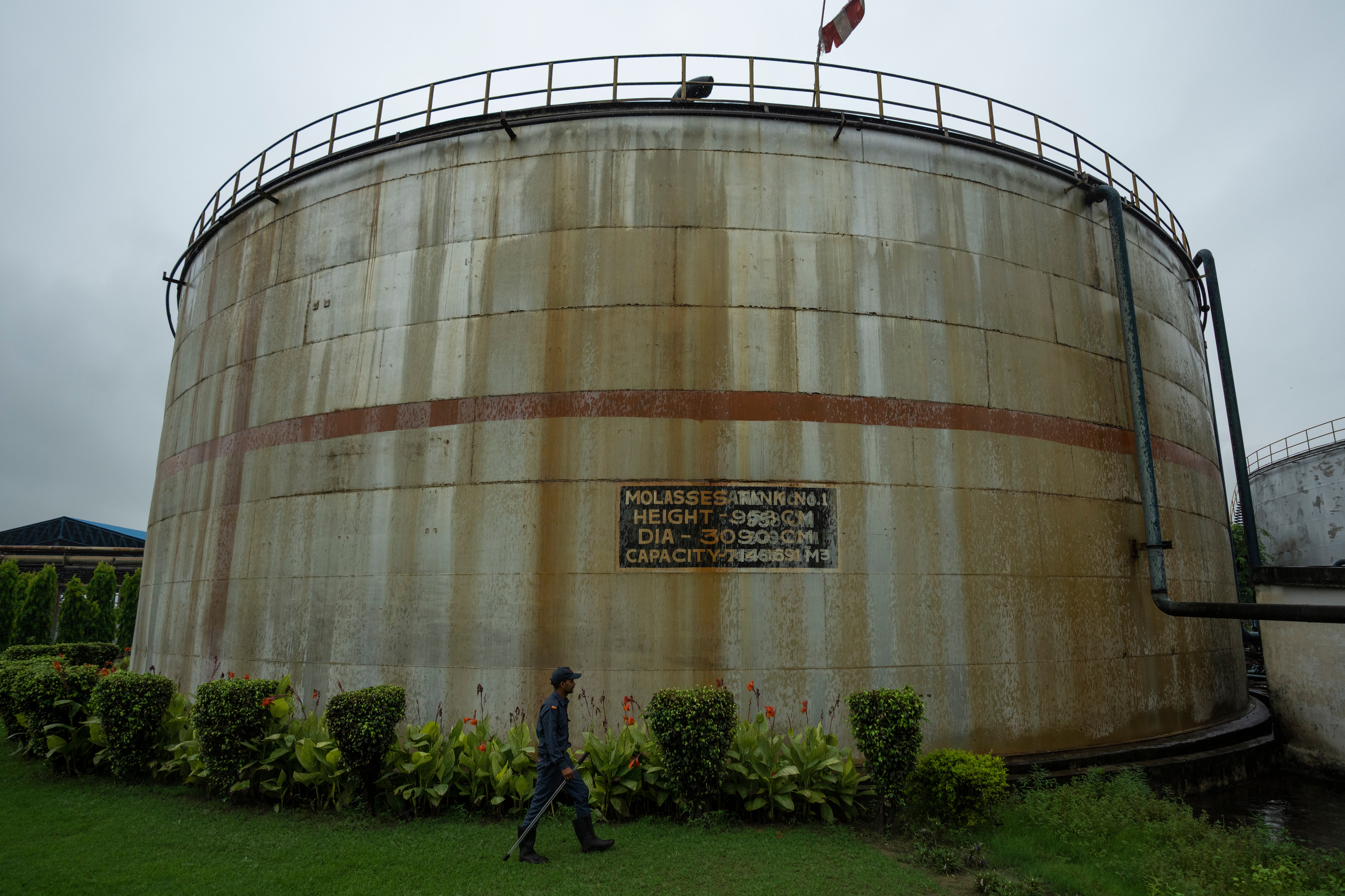 G20 Biofuels Explainer