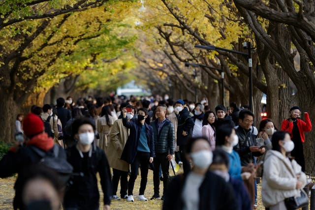 <p>File. People wearing protective masks as they walk along a sidewalk at Jingu Gaien park area in Tokyo</p>