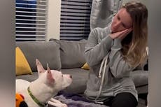 Deaf dog uses sign language to communicate with owner