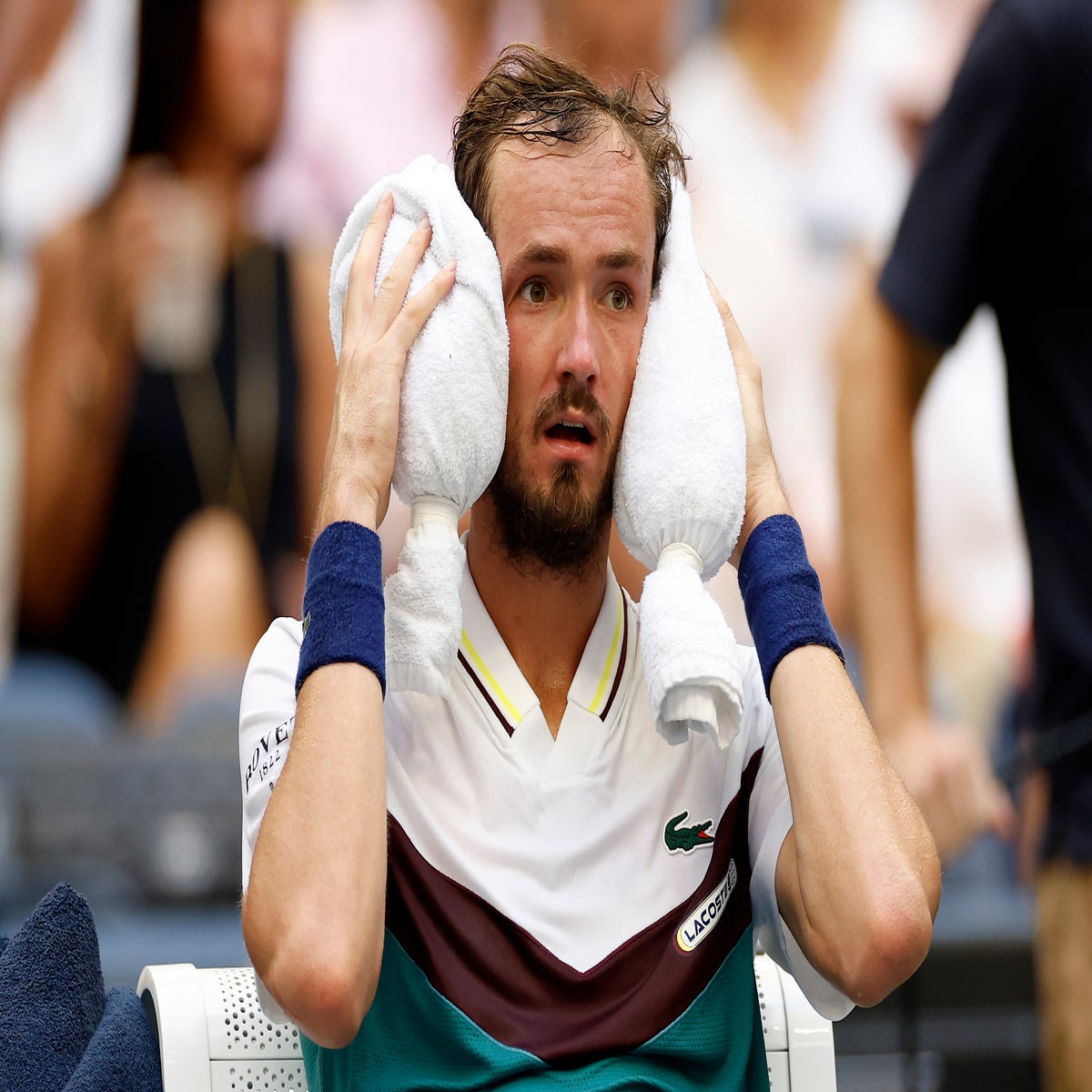 Watch: Daniil Medvedev accidentally hits spectator at Vienna Open