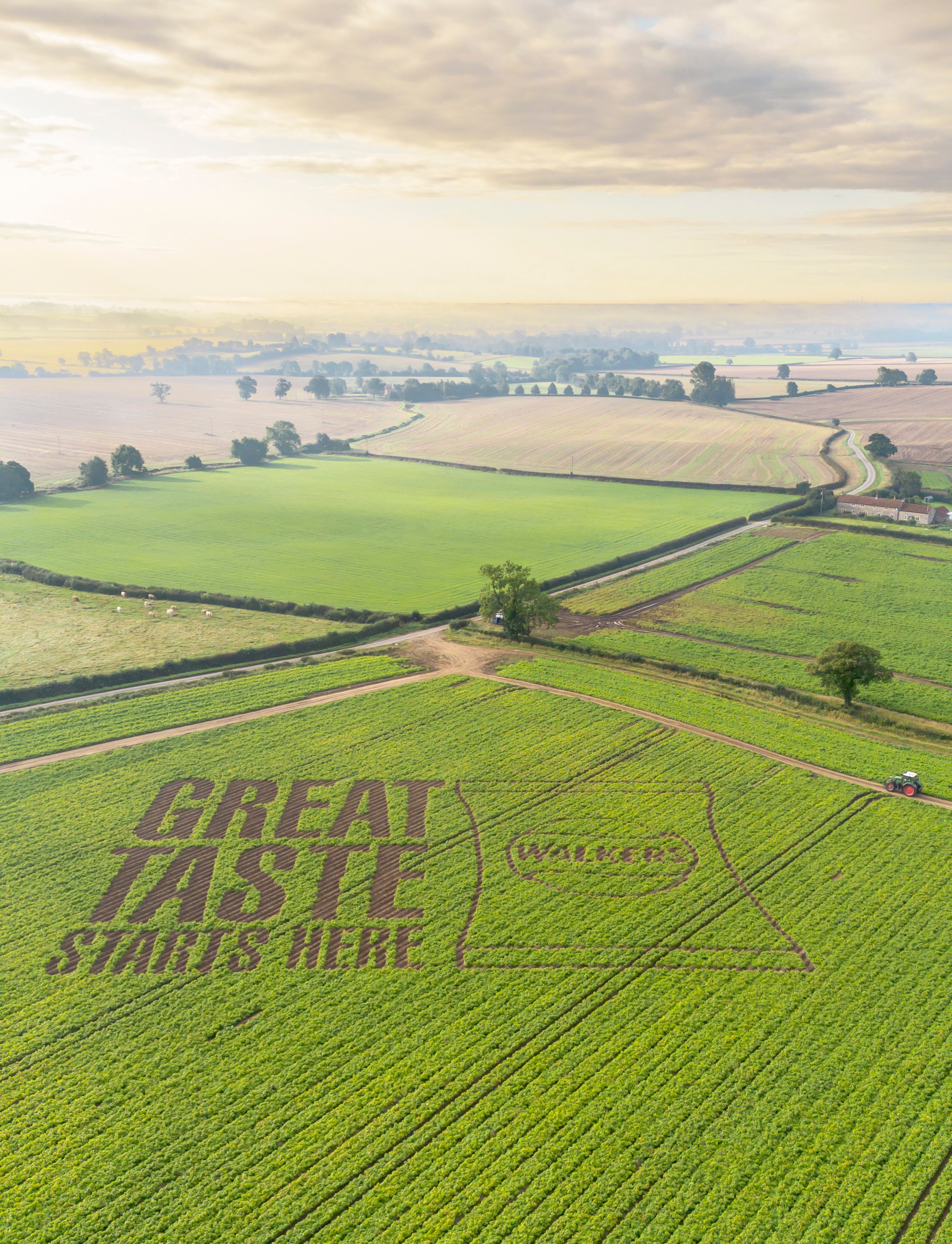 Walkers farmer Tim Rodwell said, “It’s not every day that you get to use potato crops to make a giant message for Britain.”