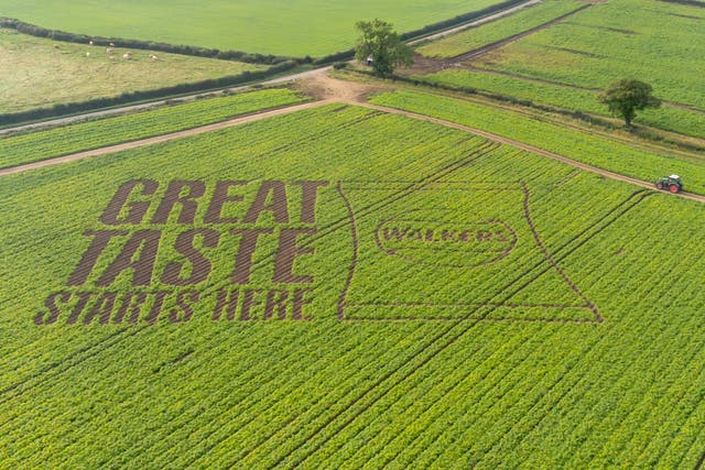 <p>Walkers farmer Tim Rodwell said, “It’s not every day that you get to use potato crops to make a giant message for Britain.”</p>