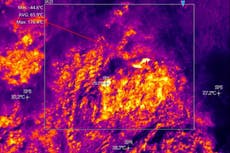 Children suffering nosebleeds from ‘living hell’ fires spewing over London