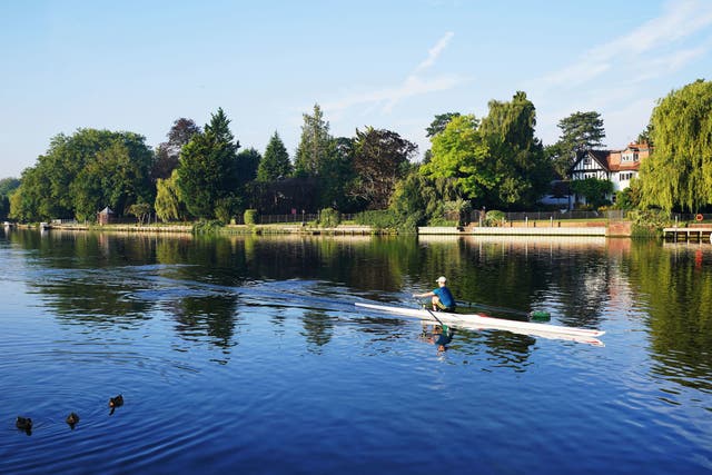 <p>The race marks a tradition dating back to the 19th century which sees participants swim a 5km, 2.8km or 1.4km, stretch of the River Thames in Maidenhead </p>