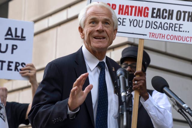<p>Peter Navarro was interrupted as an incident between protestors erupted behind him </p>