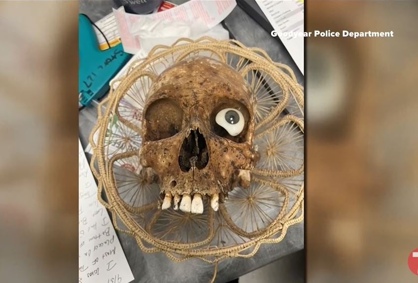 A human skull was discovered in a box of donations to a Goodwill store in Arizona