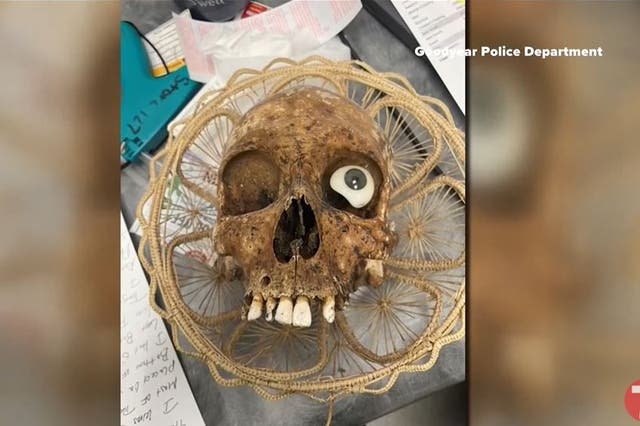 <p>A human skull was discovered in a box of donations to a Goodwill store in Arizona</p>