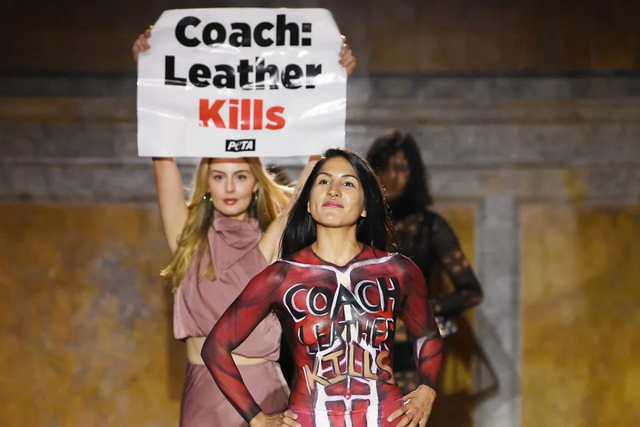 <p>The activists were protesting the use of leather in Coach fashion products</p>