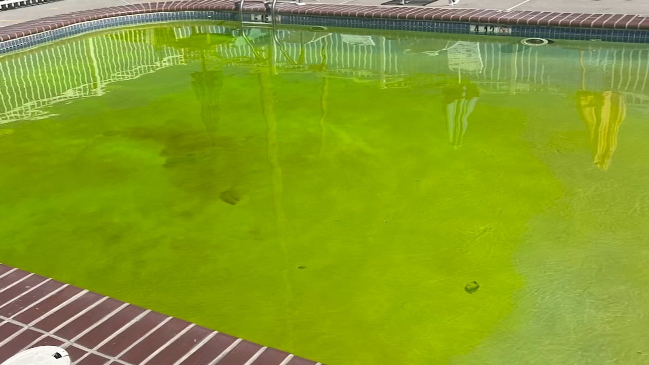 <p>The motivation behind the man dropping dye into swimming pools via drone is still unknown</p>