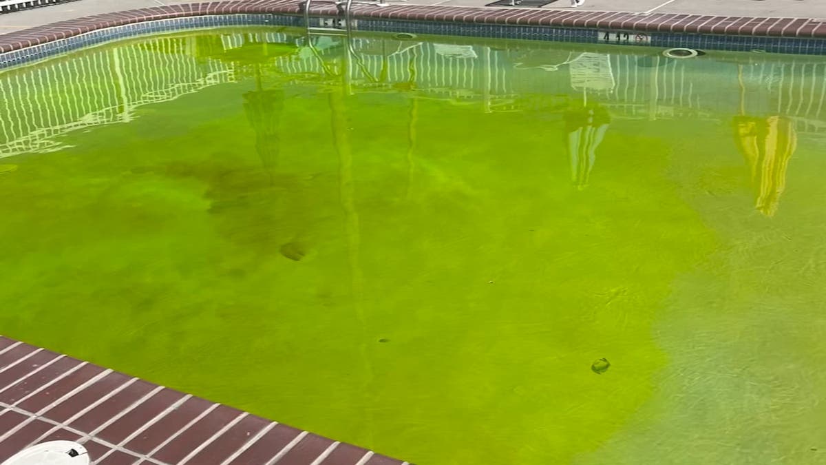 New Jersey man arrested for using drone to drop green dye into neighbourhood pools - Vimarsana News