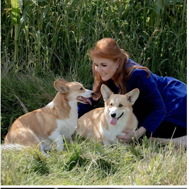 <p>The Duchess of York has said she is “sure” that the late Queen “talks to her” through her pet corgis.</p>