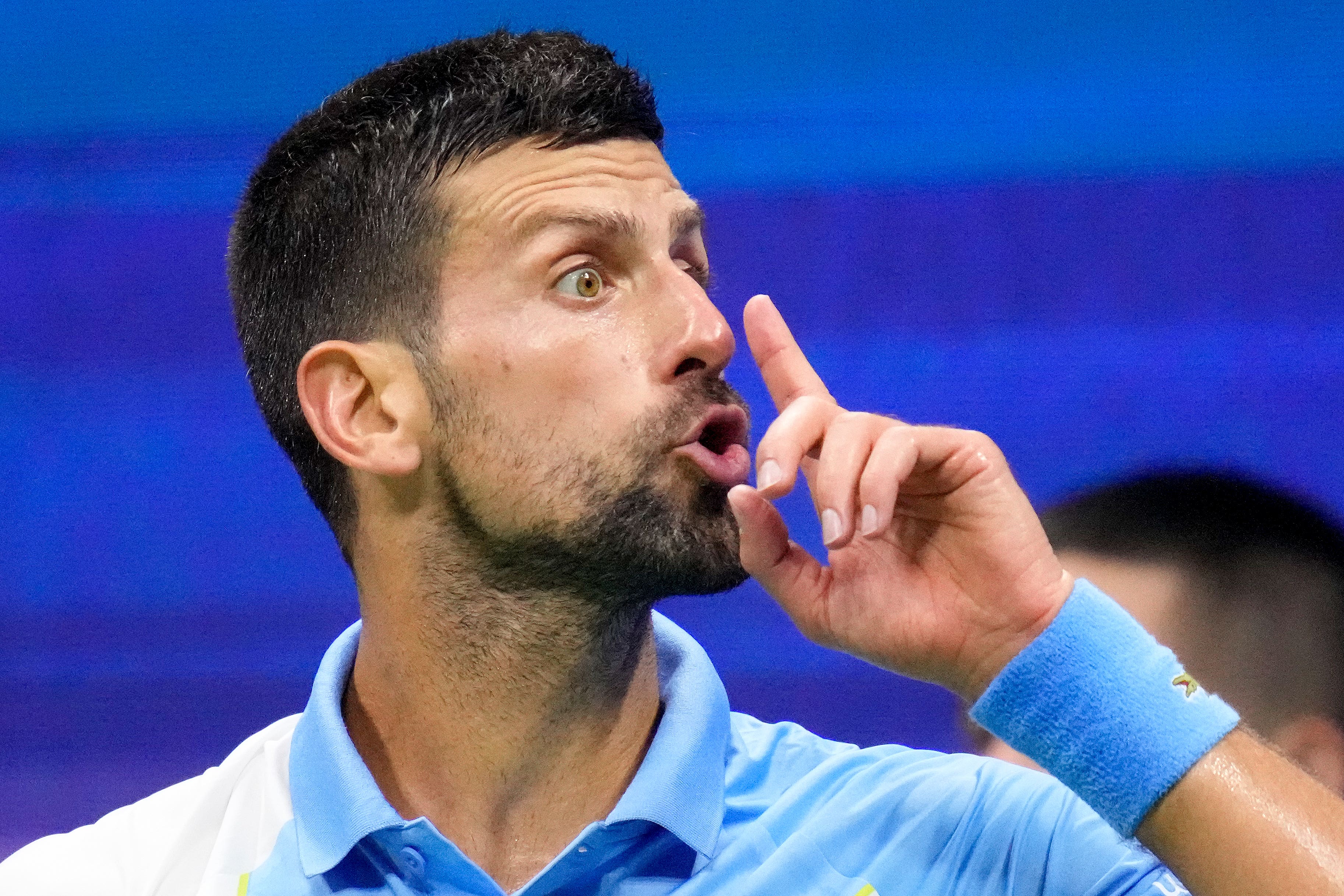 Novak Djokovic silenced the New York crowd (Charles Krupa/AP)