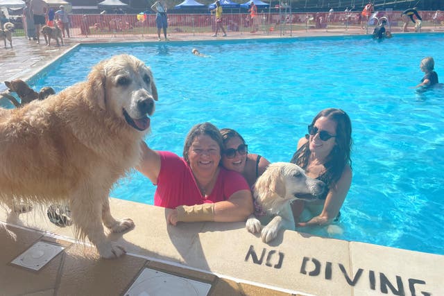 Dogs and their owners have enjoyed the ‘Dogtember’ event at Saltdean Lido in Brighton (Anahita Hossein-Pour/PA)