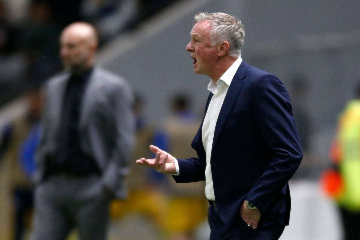 Michael O’Neill hopes Northern Ireland fans trust the process after another loss