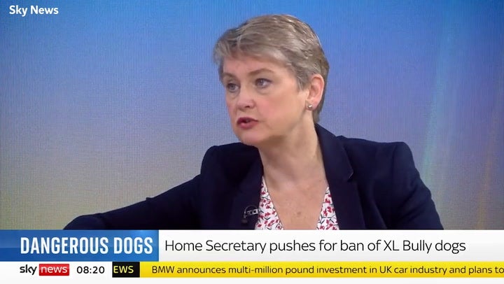 <p>Shadow home secretary Yvette Cooper has called for stronger action on dangerous dogs following an attack on a young girl.</p>