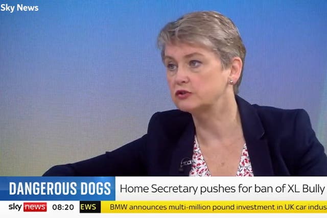 <p>Shadow home secretary Yvette Cooper has called for stronger action on dangerous dogs following an attack on a young girl.</p>