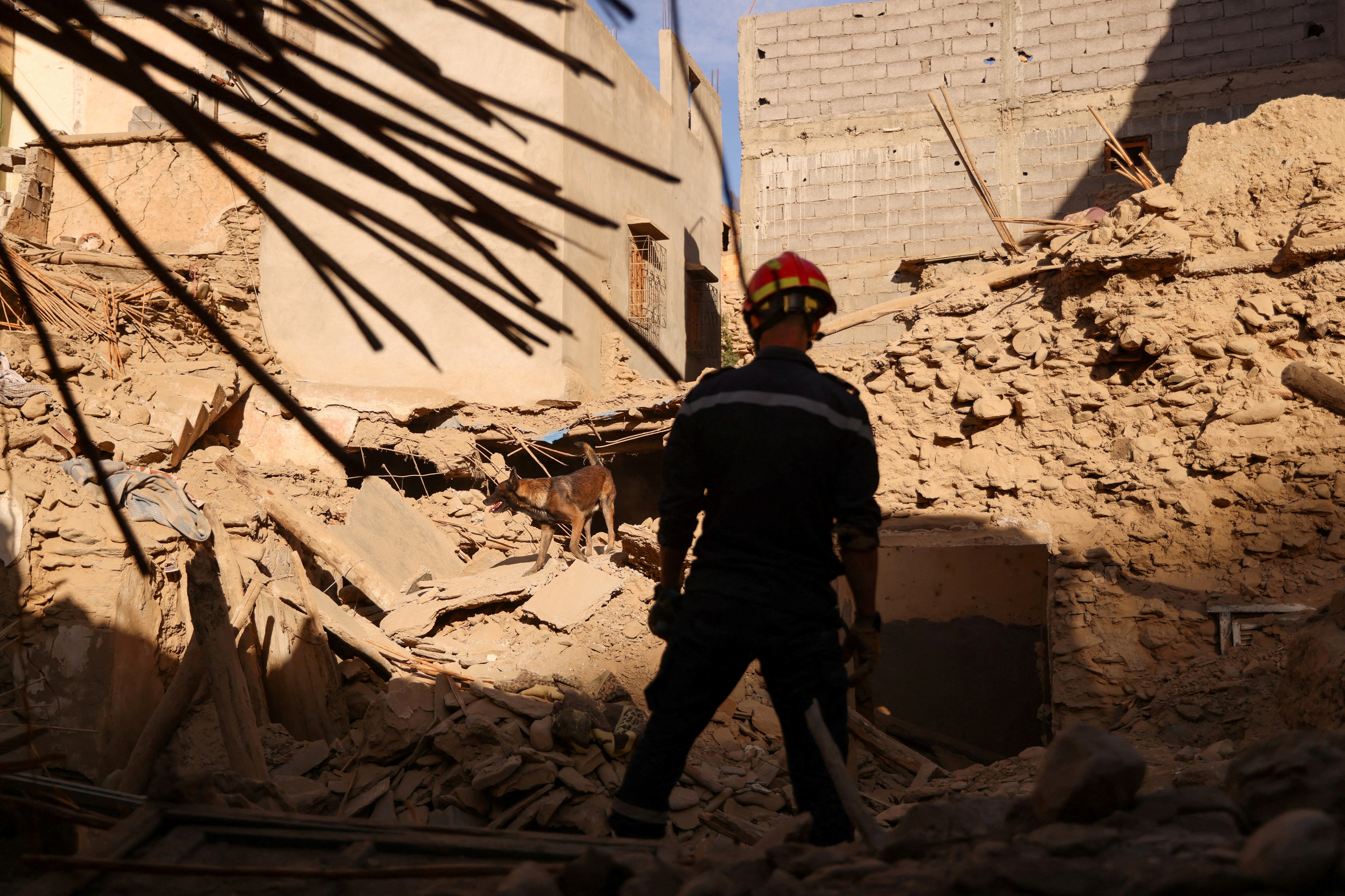 An emergency worker and a dog search bodies on the rubble