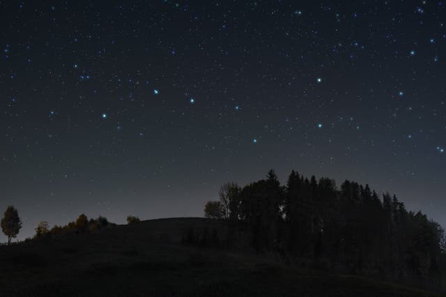 <p> Look at the familiar shape of the Plough – the seven most prominent members of the Great Bear (Ursa Major) – and you can see that the second star in from the end of the handle has a faint companion</p>