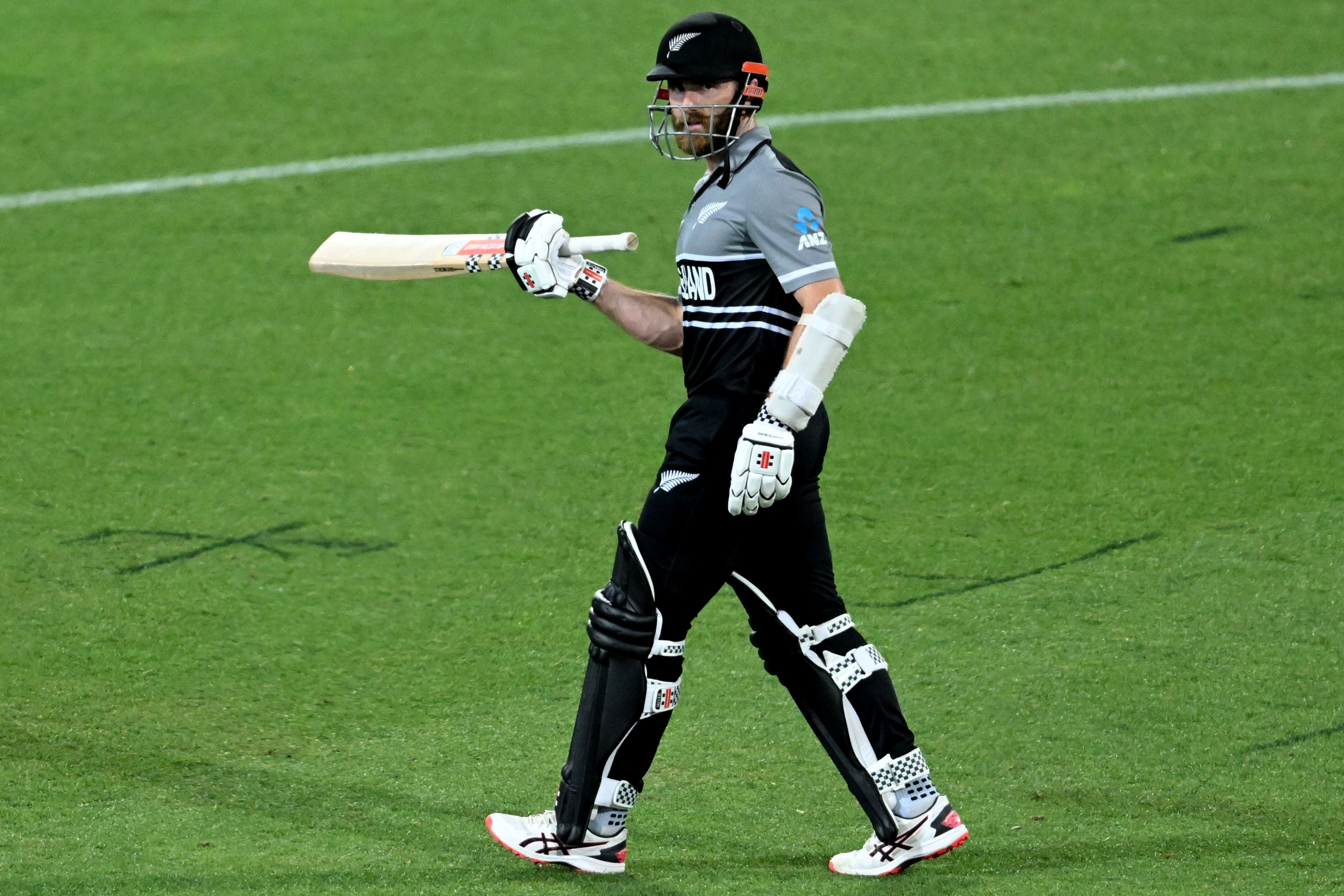 New Zealand Cricket World Cup squad introduced in best team announcement ever The Independent