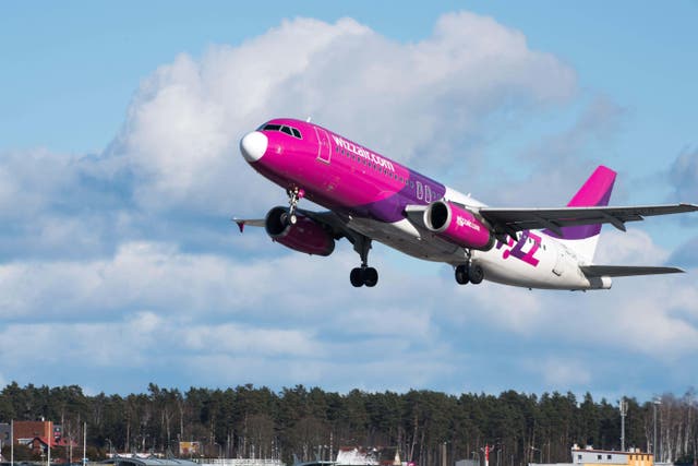 Wizz Air said its capacity would be 10% lower in the second half of the 2024 financial year (Alamy/PA)