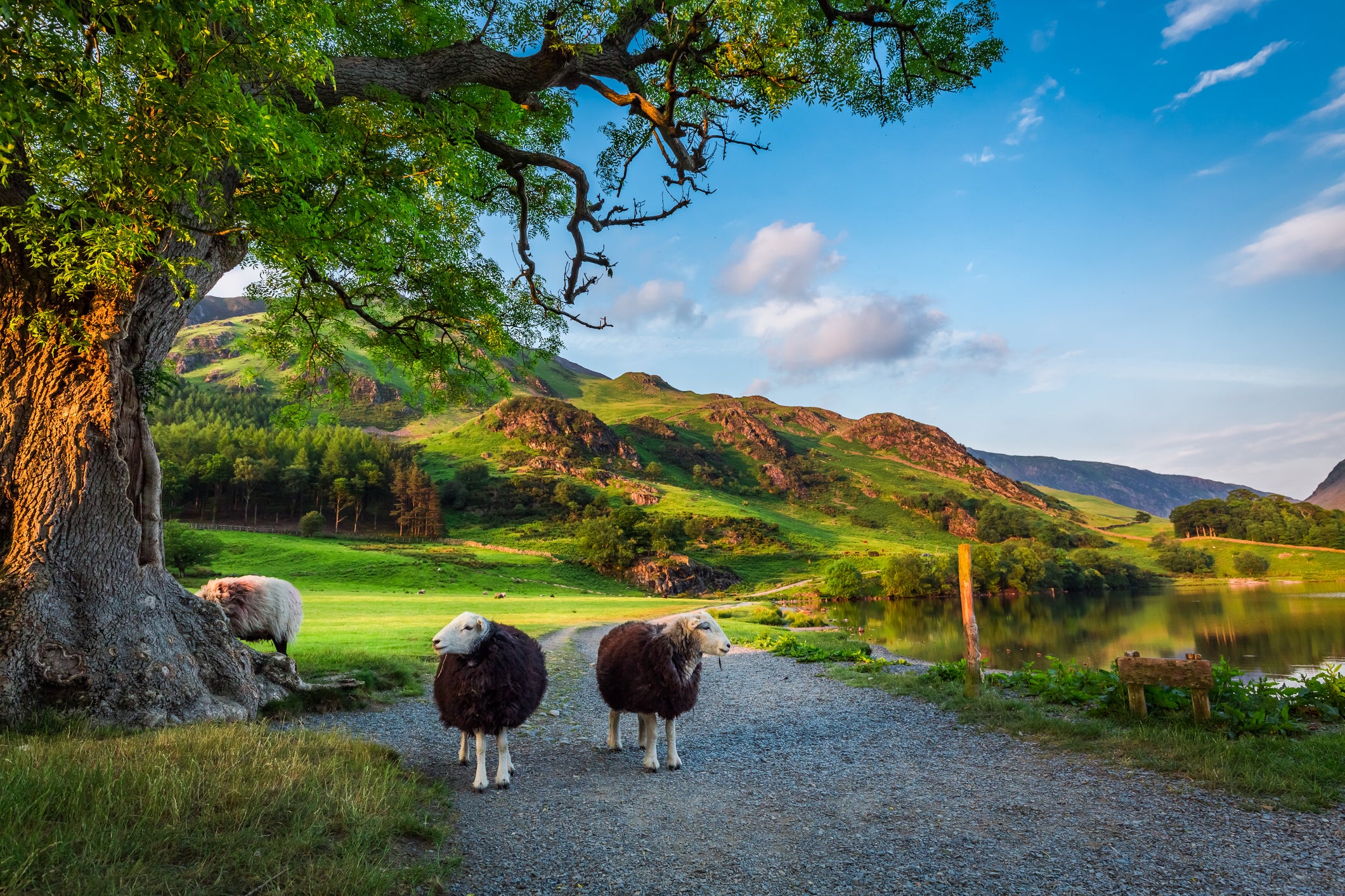 Discover the Lake District National Park by foot