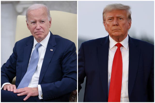 <p>Joe Biden and Donald Trump are tied in most polls</p>