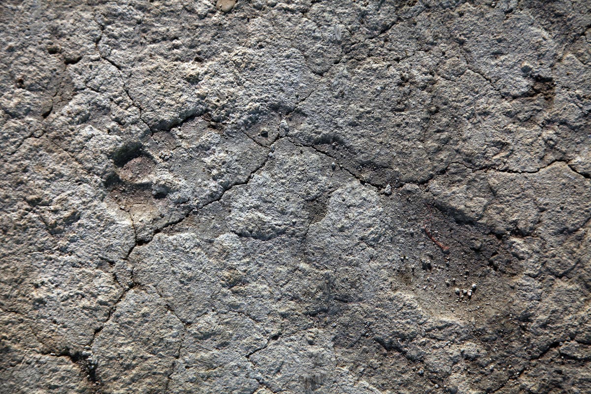 Fossil tracks in South Africa reveal oldest evidence yet of humans wearing footwear