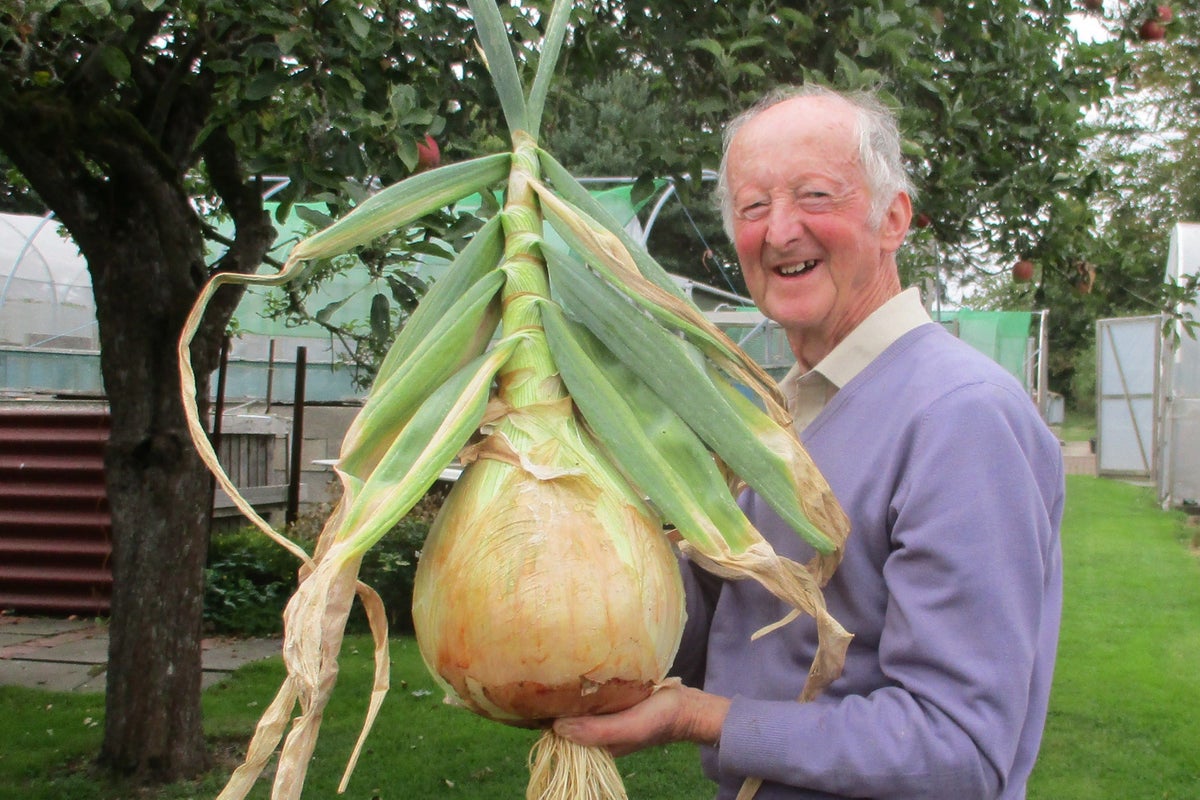 Meet the man who grows the biggest vegetables in the world
