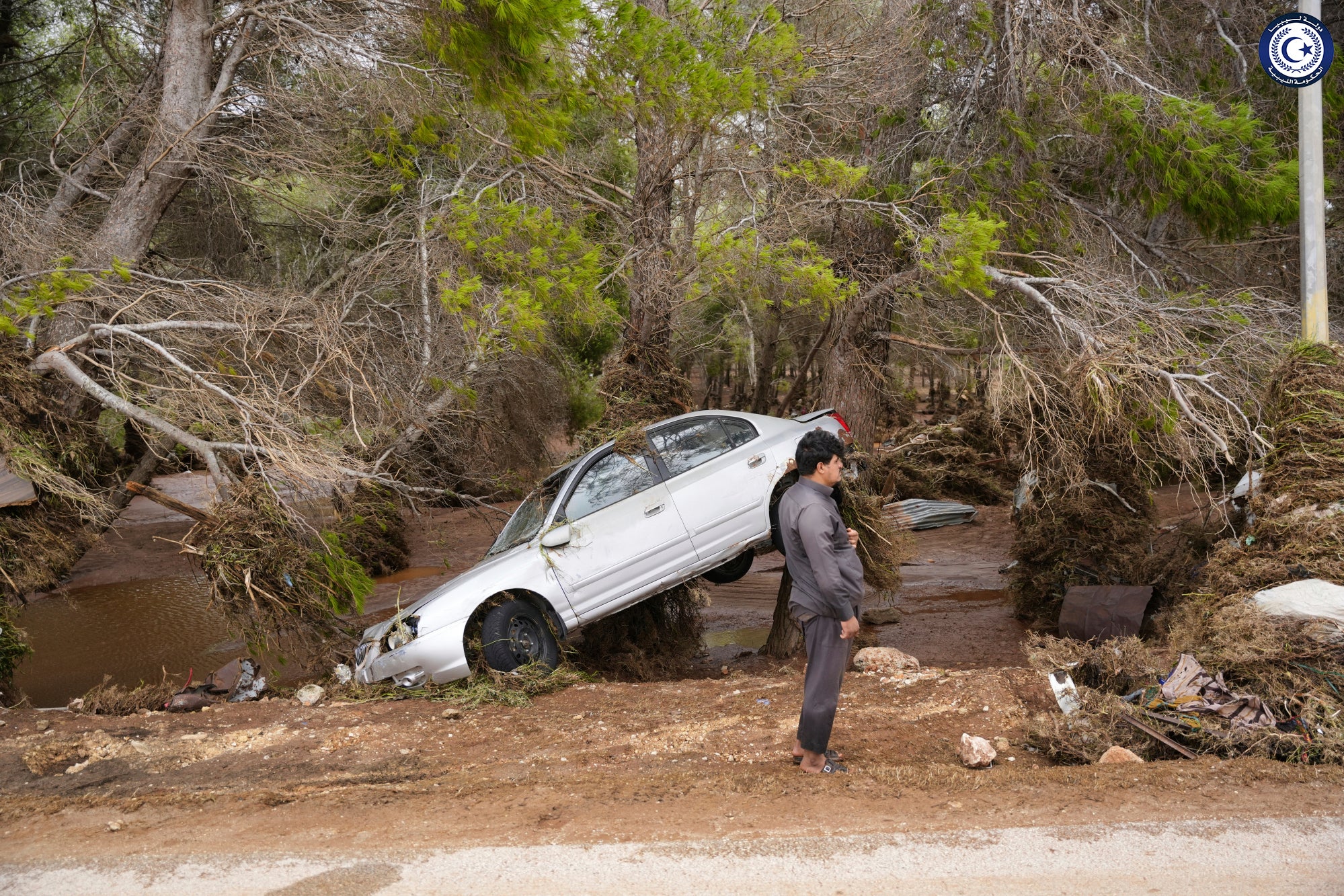 A car sits partly suspended in trees after being carried by floodwaters in Derna