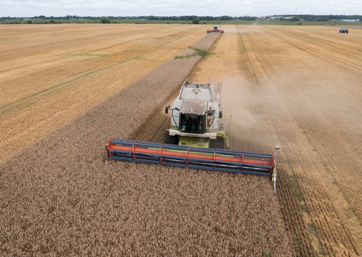 Poland says it won't lift its embargo on Ukraine grain because it would hurt its farmers