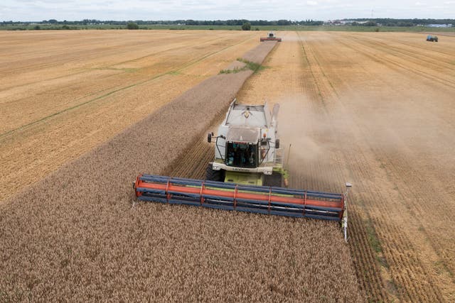 Poland Ukraine Grain