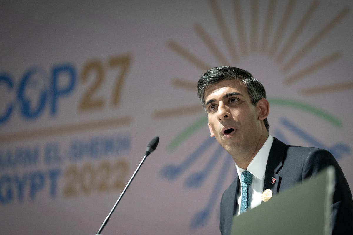 Sunak urged to ‘do more than just turn up’ at Cop28 climate talks