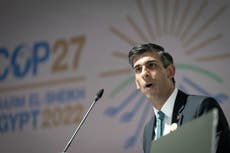 Sunak urged to ‘do more than just turn up’ at Cop28 climate talks